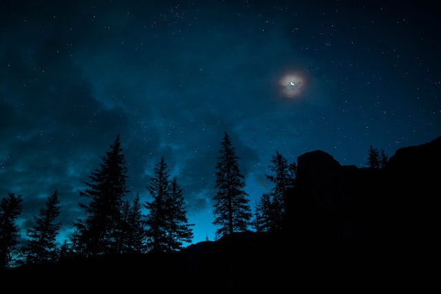 How Does Astrology Work - A night sky with a hazy glow around the moon and a silhouette of the horizon lined with forest foliage
